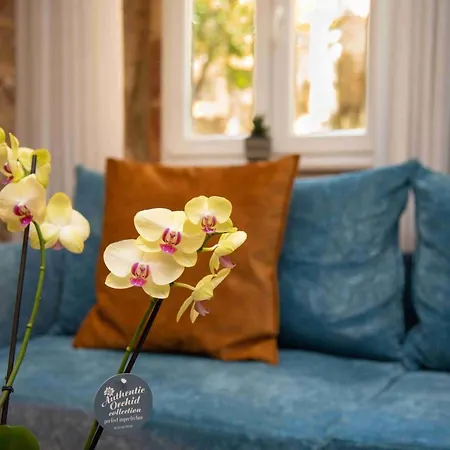 Sopra Mura Luxury Town House Дом отдыха Corfu (city)